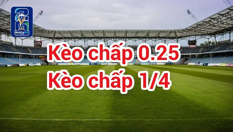 Áp dụng cách bắt kèo 1/4 cần lưu ý những gì? Áp dụng cách bắt kèo 1/4 cần lưu ý những gì?